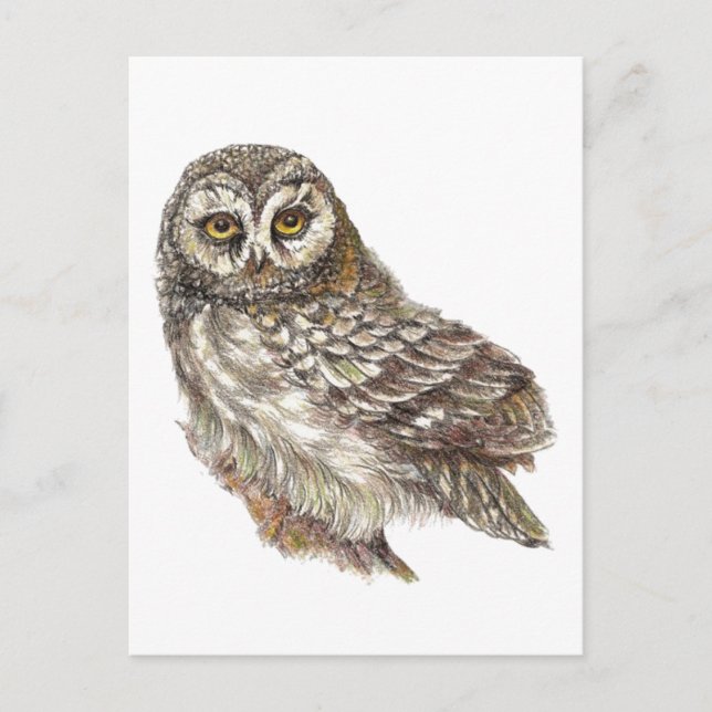 Custom Watercolor Owl, Bird, Nature, Wildlife Postcard (Front)