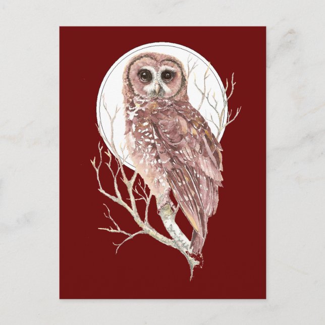 Custom Watercolor Owl in Tree, Moon, Bird, Nature Postcard (Front)