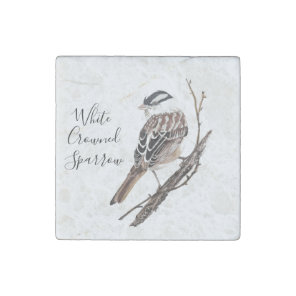 Custom  Watercolor White Crowned Sparrow Bird Stone Magnet