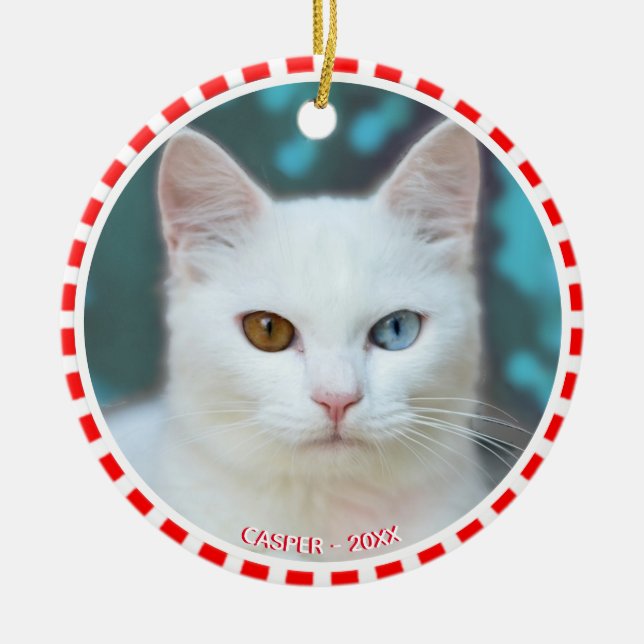 Custom White Cat Photo with Red & White Frame Ceramic Ornament (Front)