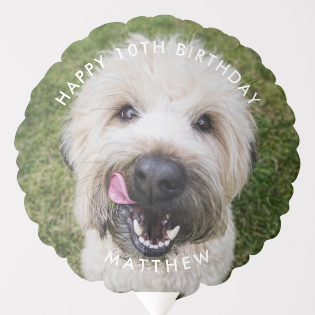 Custom White Fluffy Dog Photo  Balloon (Front)