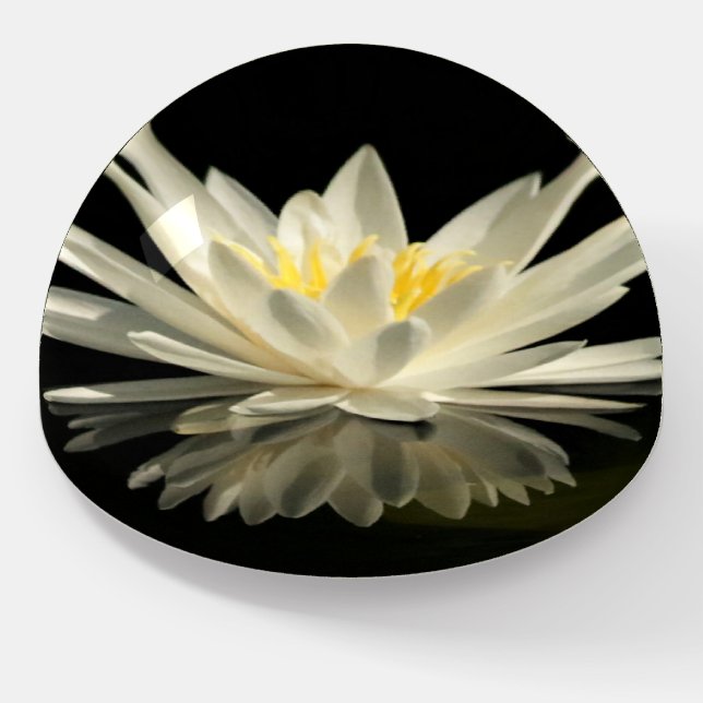 Custom White Water Lily Glass Paperweight (Angled)