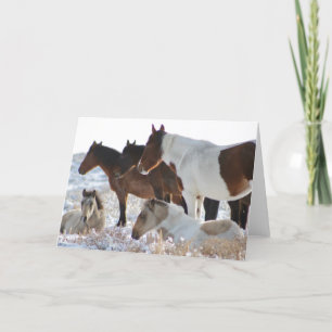 CUSTOM WILD HORSES OF UTAH PINTOS IN SNOW Card