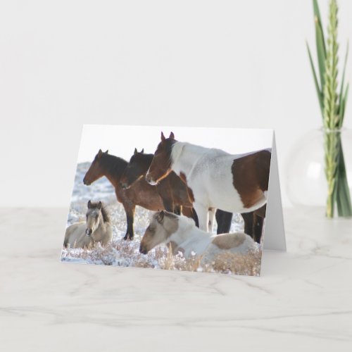CUSTOM WILD HORSES OF UTAH PINTOS IN SNOW  Card
