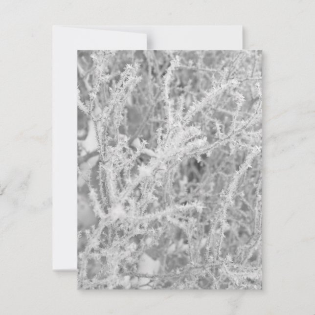 Custom Winter Icy Pine Tree Blank Note Card (Front)
