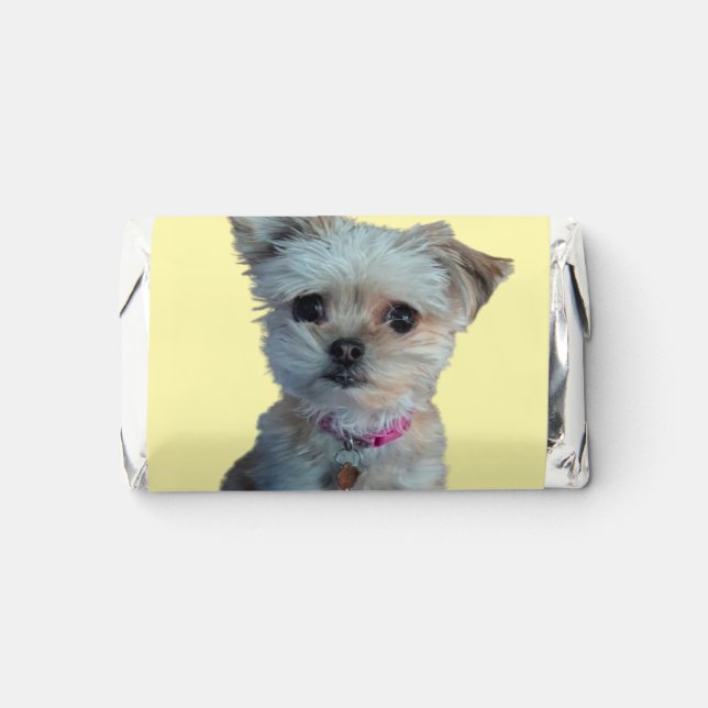 Custom wrapped hershey's miniatures (Front)