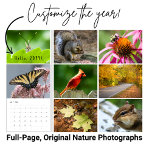 Custom Year Backyard Wildlife Photography Calendar<br><div class="desc">Popular favorites like birds, butterflies, bees, and autumn leaves fill the pages of this wildlife photography calendar. Customize the front cover with the current year or with a phrase you love, and then smile at a squirrel, laugh at a chipmunk, or admire a beautiful winding road in autumn. After the...</div>