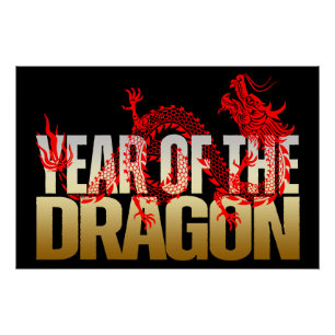 CUSTOM YEAR OF THE DRAGON BIRTHDAY PARTY POSTER