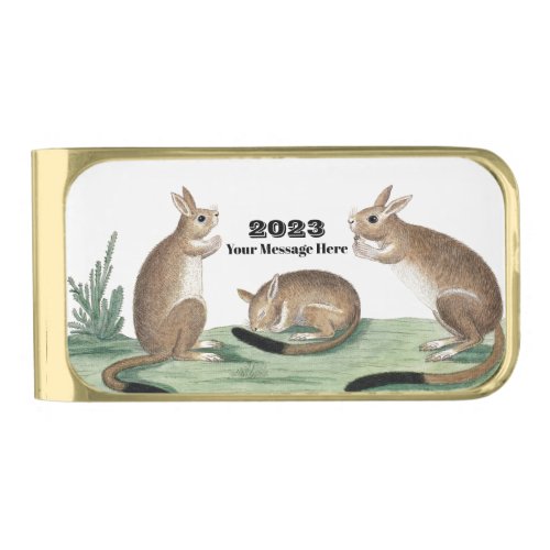 Custom Year of the Rabbit 2023 Cute Family Gold Finish Money Clip