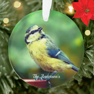 Custom Yellow=breasted Bird Photo Personalized Ornament