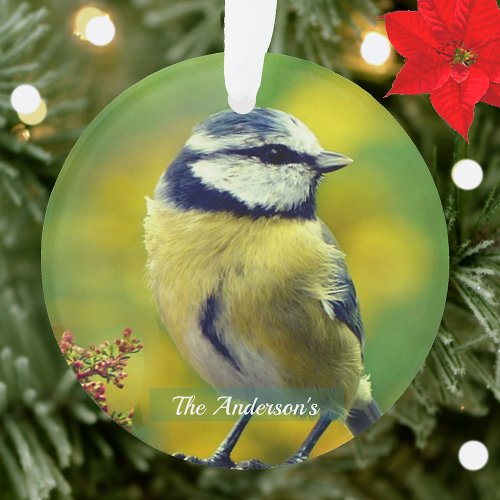 Custom Yellow_breasted Blue Chat Photo Ornament