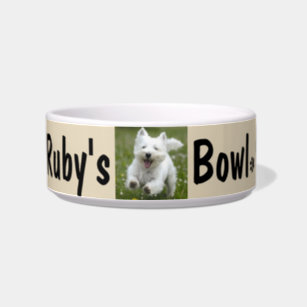 https://rlv.zcache.com/custom_your_dogs_photo_name_personalize_bowl-r0d2556589b334d8181a89f06f336864d_2iwj0_8byvr_307.jpg