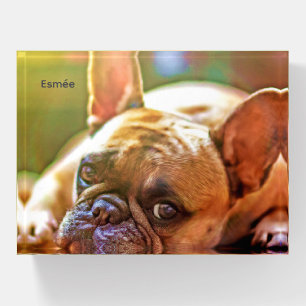 Custom YOUR Pet or Adorable Frenchie Bulldog Paperweight