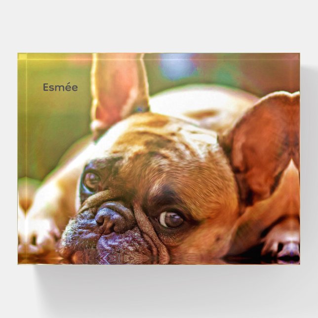 Custom YOUR Pet or Adorable Frenchie Bulldog Paperweight (Front)
