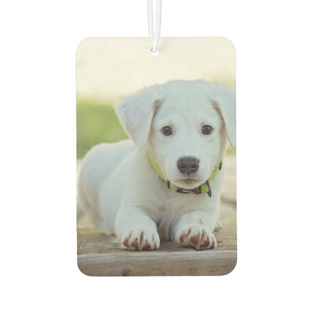 Custom Your Pet Photo Car Air Freshener (Back)