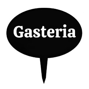 Custome Garden Tags,Herb Labels and seed starters Cake Topper