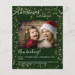 Customer specific Christmas Lights photo flyer