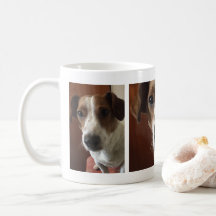 Customer-specific personalized dog photo