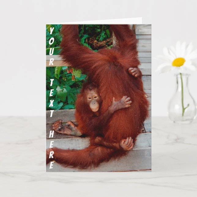 Customisable Borneo orangutan Card (Small Plant)