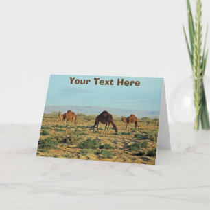 Customisable Camels Card