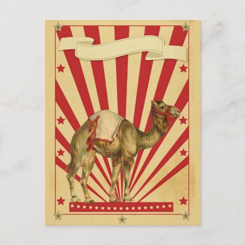 Customisable Circus Postcard