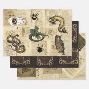 Customisable Dragon Magical Beasts Grimoire Wrapping Paper Sheets