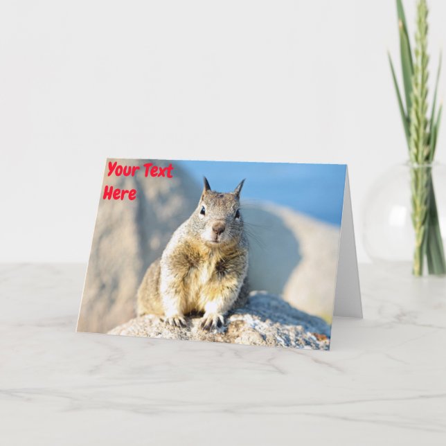 Customisable grey squirrel card (Front)