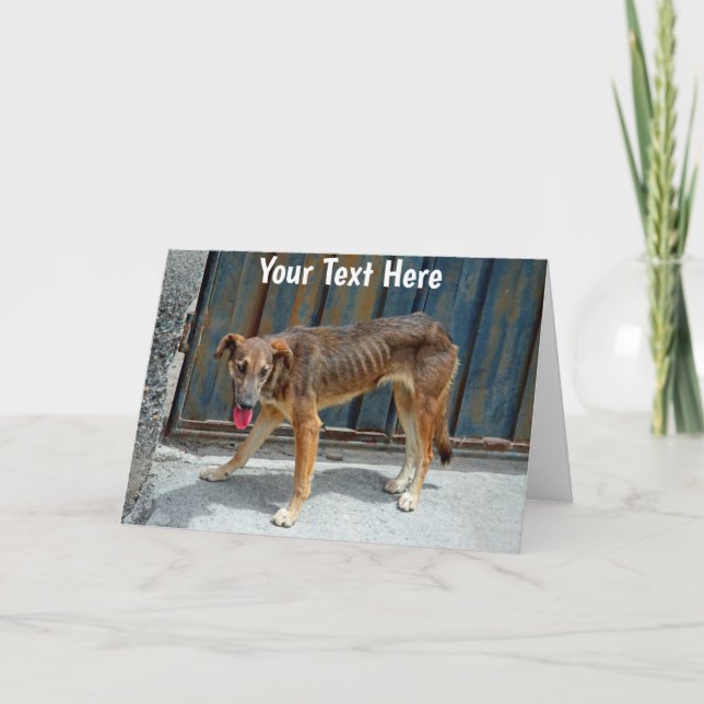 Customisable stray dog card (Front)