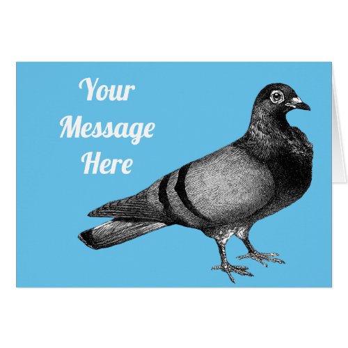Customisable Vintage pigeon