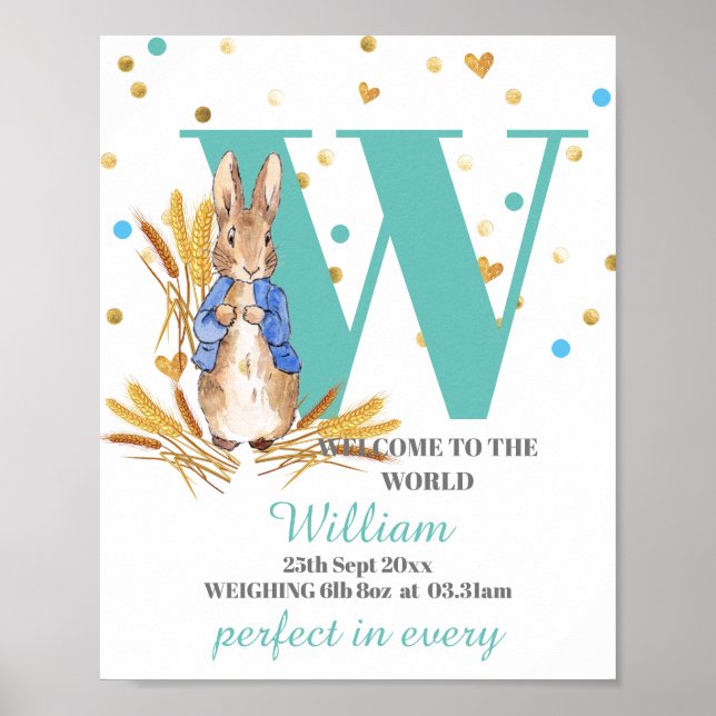 Customise Baby Boy Birth Poster (Front)