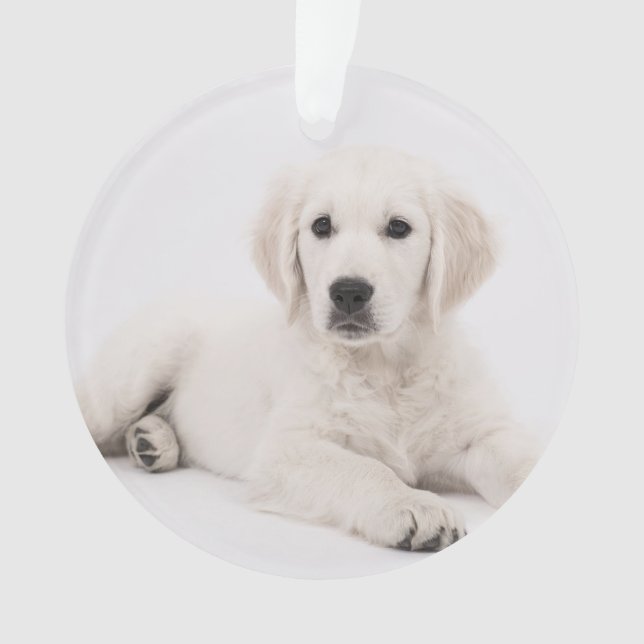 customised with photo pet memorial ornament (Front)