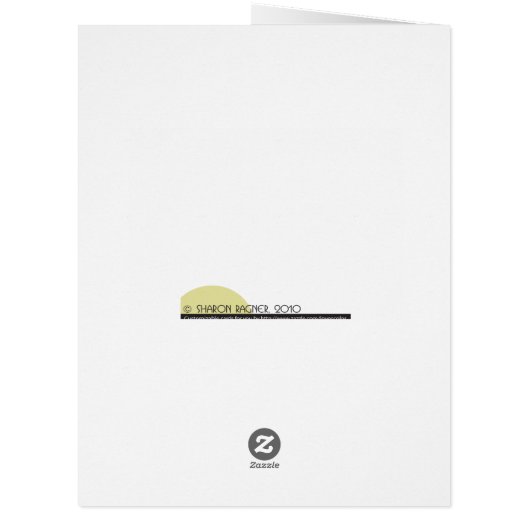 Customizable 50 Year Class Reunion Invitation (Back)