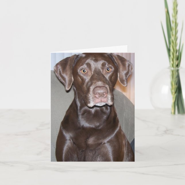 Customizable All-Occasion Greeting Card (Front)