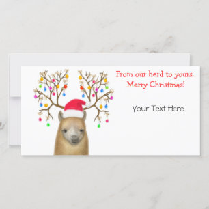 Customizable Alpaca Xmas Photo Card