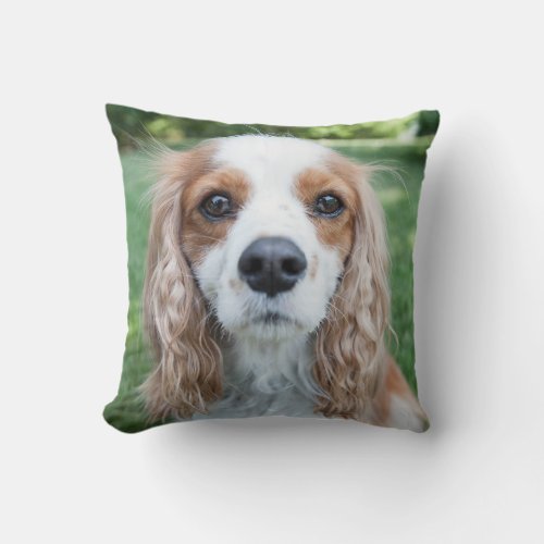 Customizable and Personalize Dog Cavalier Photo  Throw Pillow