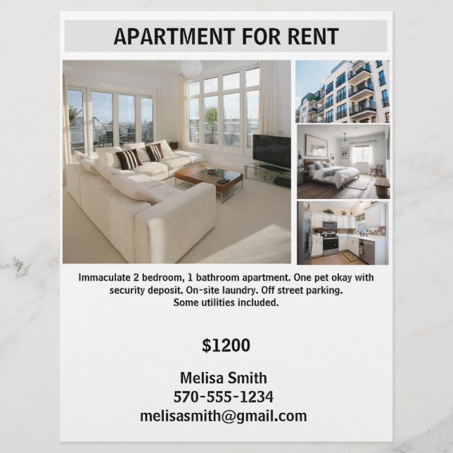 Customizable Apartment for Rent Flyer (Front)