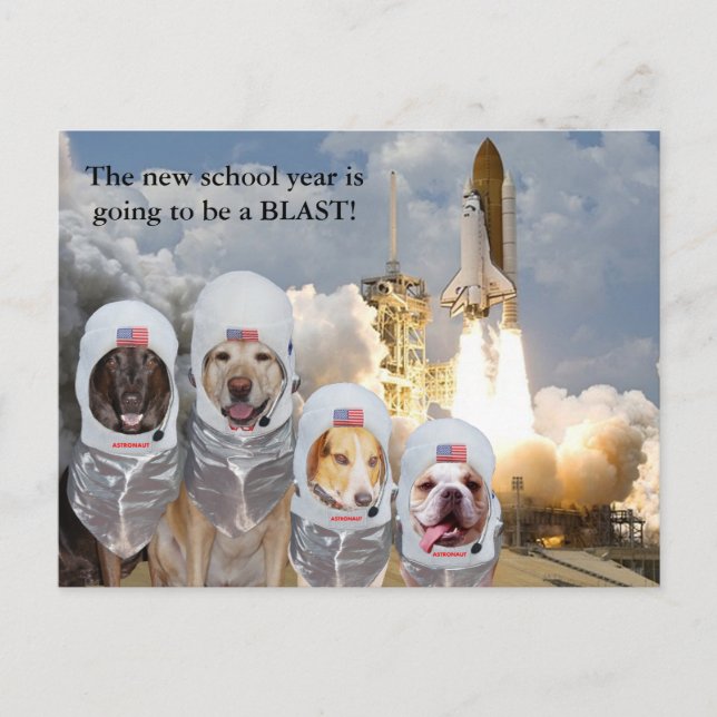 Customizable Astronaut Dogs Teacher Postcard (Front)