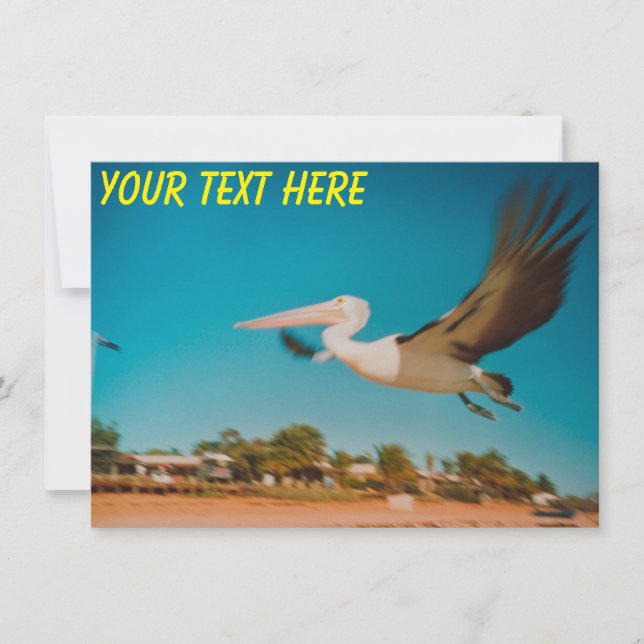 Customizable Australia pelican Card (Front)