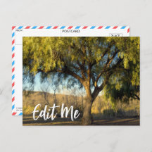 Customizable Autumn Leaf Postcard