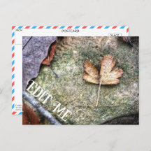 Customizable Autumn Leaf Postcard