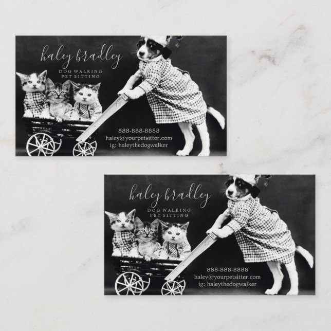 Customizable Back to Back Pet Dog Cat Sitting Business Card (Front/Back)
