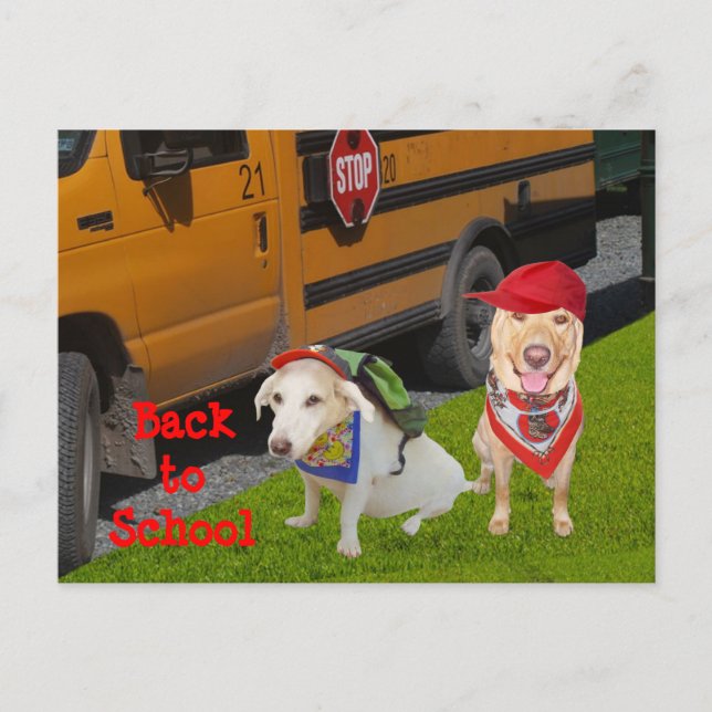 Customizable Back to School Postcard (Front)