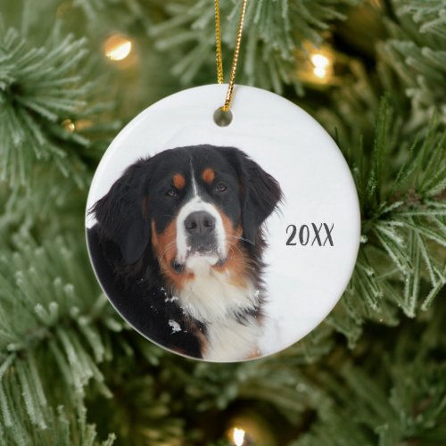 Customizable Bernese Mountain Dog Ceramic Ornament