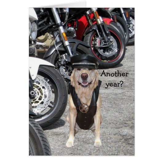 Customizable Biker Lab Cards (Front)