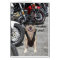 Customizable Biker Lab
