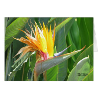 Customizable Bird of Paradise Card