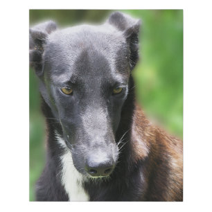 Customizable Black Dog Photo Faux Canvas Print