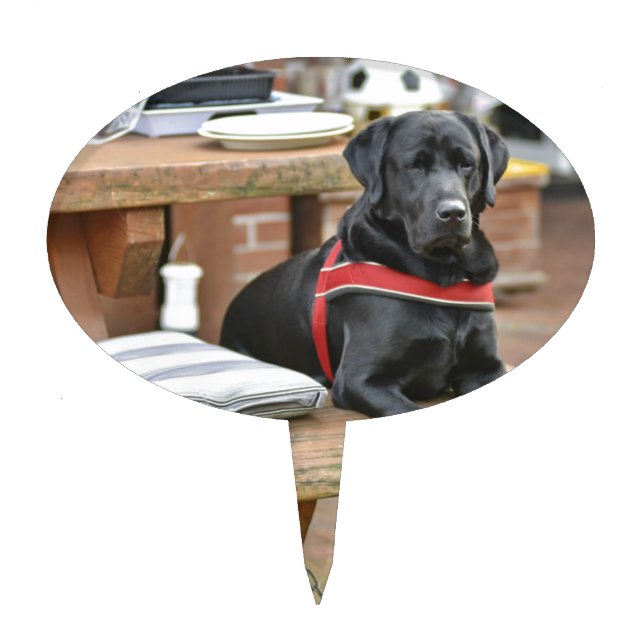 Customizable Black Labrador Retriever Cake Topper (Front)