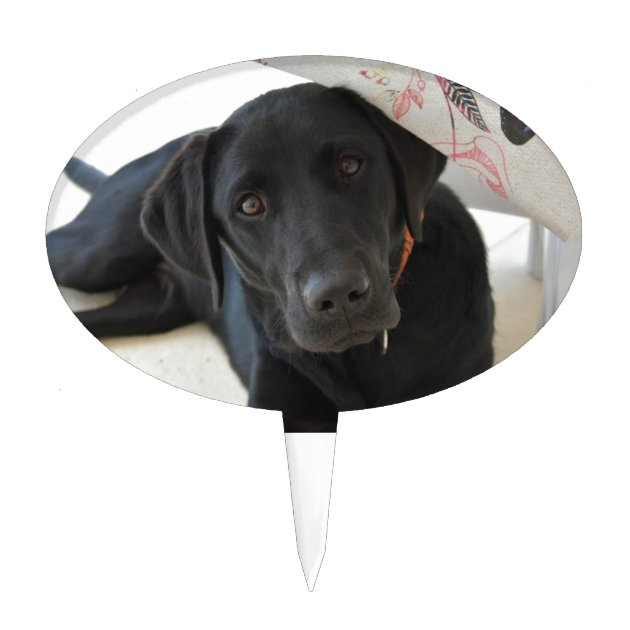 Black labrador cheap cake topper