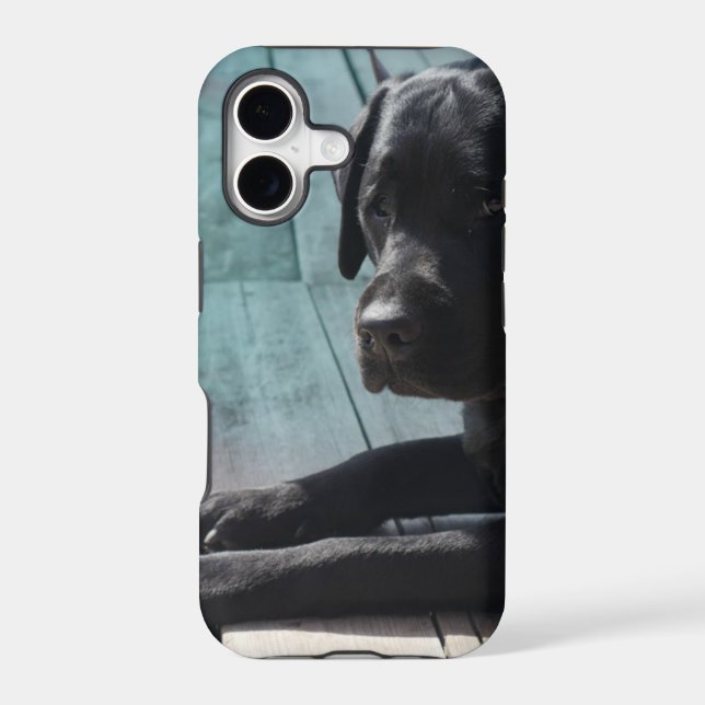 Customizable Black Labrador Retriever Iphone Case (Back)